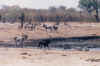 1995_Album_22.jpg (82947 bytes)