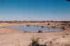 1995_Album_26.jpg (67613 bytes)