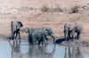1995_Album_27.jpg (86481 bytes)