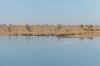 1995_Album_30.jpg (33968 bytes)