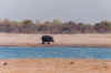 1995_Album_32.jpg (61228 bytes)