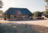 1995_Album_43.jpg (81592 bytes)