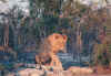1995_Album_58.jpg (121327 bytes)