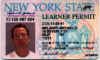 991102permit.jpg (37548 bytes)